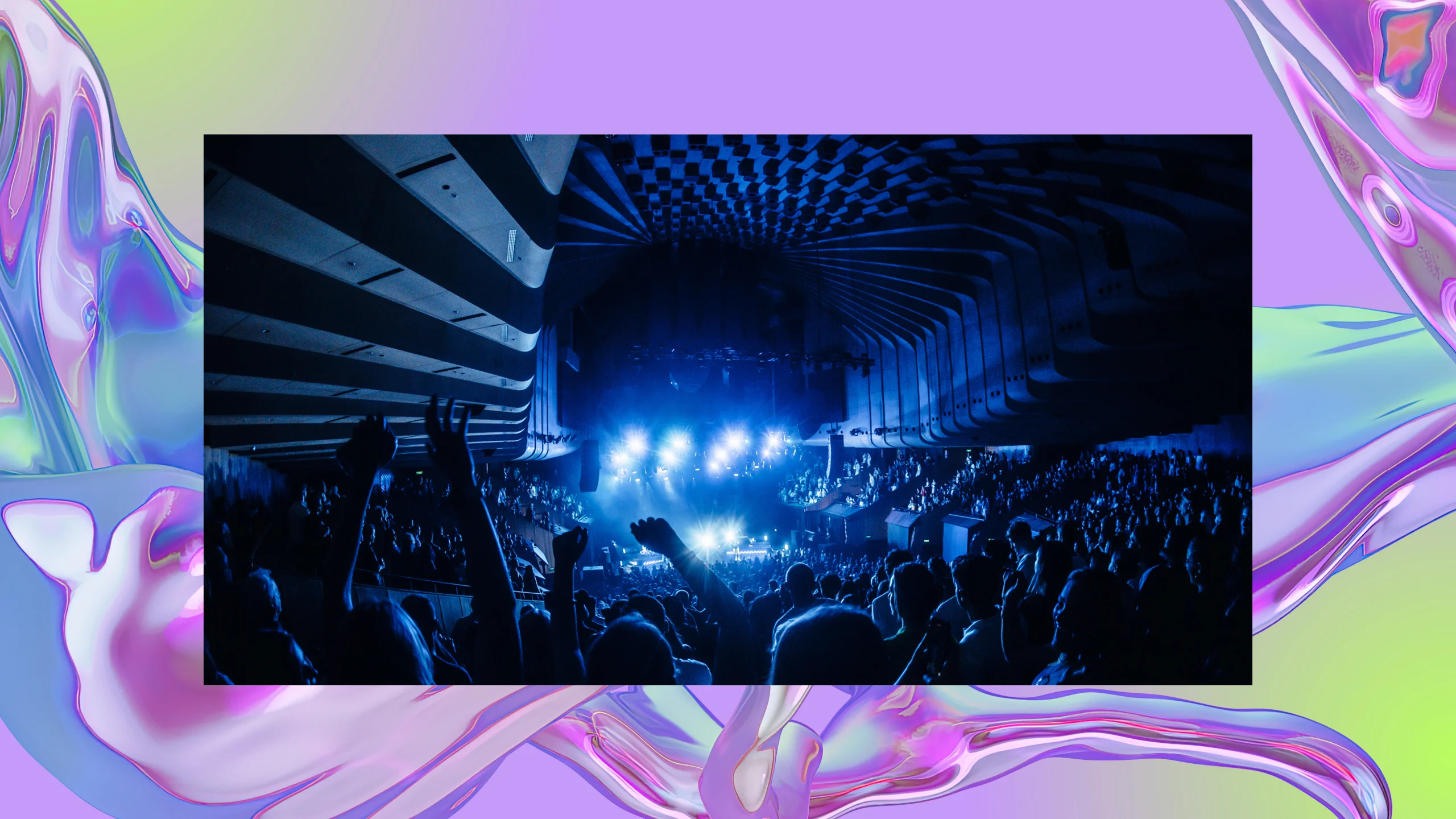 Vivid LIVE