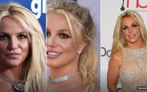 Britney Spears DUI Charge: Legal Plea Deal & Rehab Details