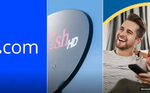 DISH Network Gray Media Agreement: 226 Stations Restored