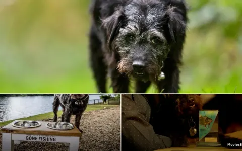 Gone Fishing Dog Ted Death: Age, Breed, and Tributes