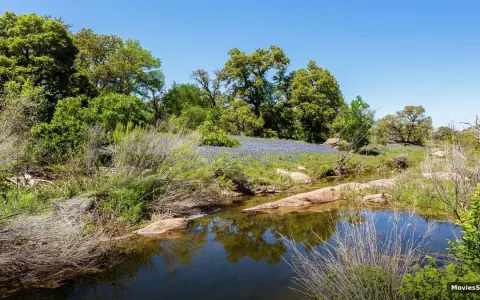 Secrets, Lies, Texas Wives: Bravo's New Boerne Series Guide