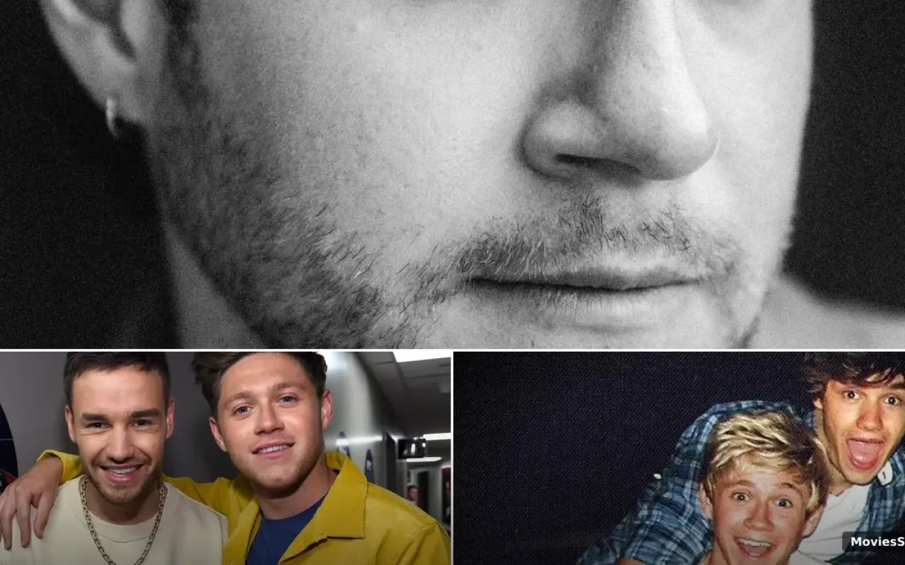Niall Horan End of an Era Liam Payne: New Song Meaning